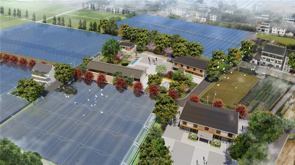 新倉(cāng)鎮(zhèn)杉青港村省級(jí)未來(lái)鄉(xiāng)村創(chuàng)建方案